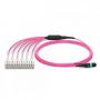 2M MTP Multimode HD Harness Cable